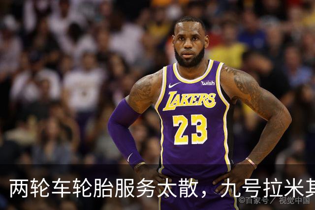 两轮车轮胎服务太散，九号拉米其林进店补课