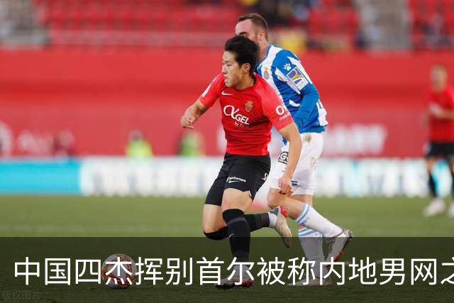 中国四杰挥别首尔被称内地男网之痛，大威首次回应屡战屡败