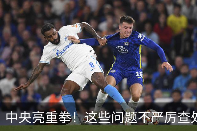 中央亮重拳！这些问题不严厉查处的，直接追究地方领导责任！