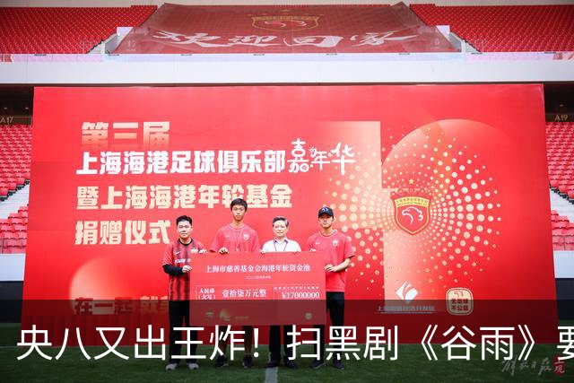 央八又出王炸！扫黑剧《谷雨》要来了