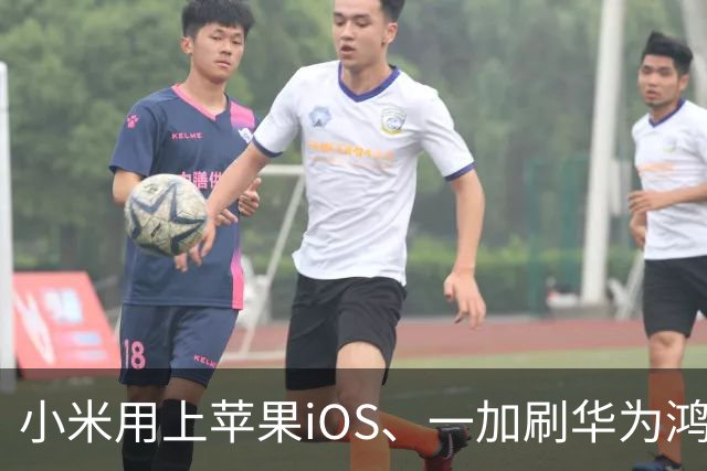 小米用上苹果iOS、一加刷华为鸿蒙，手机系统正式进入“互相偷家”时代