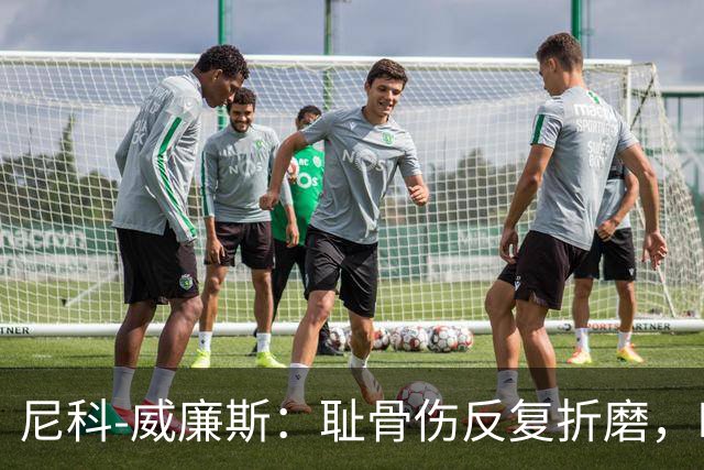尼科-威廉斯：耻骨伤反复折磨，时速从35公里跌到不足29公里
