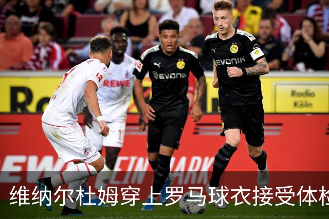 维纳尔杜姆穿上罗马球衣接受体检 今晚就可能官宣