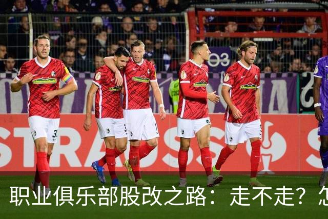 职业俱乐部股改之路：走不走？怎么走？