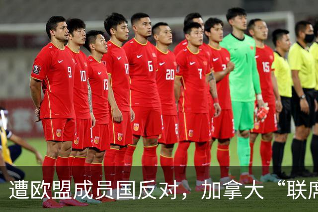 遭欧盟成员国反对，加拿大“联席成员”提议宣告失败，冯德莱恩被批想当“欧盟总统”