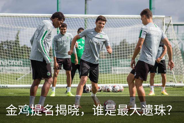 金鸡提名揭晓，谁是最大遗珠？