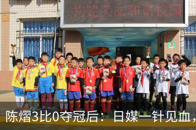 陈熠3比0夺冠后：日媒一针见血，指出张本美和惨败原因