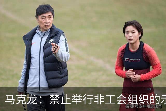 马克龙：禁止举行非工会组织的示威游行